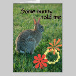 Some Bunny Birthday Card cards