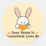 Some Bunny In Connecticut Loves Me Stickers