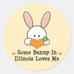 Some Bunny In Illinois Loves Me Stickers