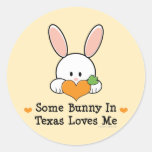 Some Bunny In Texas Loves Me Stickers
