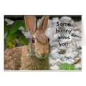 Some bunny loves you cards