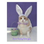 Some bunny loves you. post cards