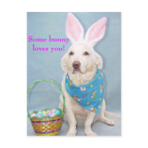Some bunny loves you! postcards by myrtieshuman Some bunny loves you! postcards