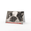 Some days are just all fleas and no kibble cards by kristanc03 Some days are just all fleas and no kibble cards