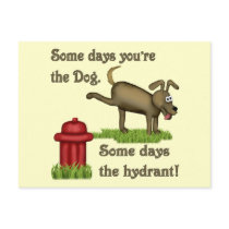 Some Days Dog Post Cards