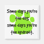 Some days you're the dog... fridge magnets