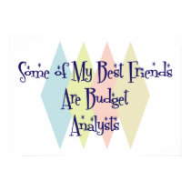 Some of My Best Friends Are Budget Analysts posters