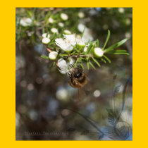 'Some Of The Biggest Moments In Life Are Small' posters