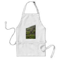 Some Plant-Overgrown Steps At Alcatraz Prison Park Aprons