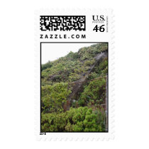 Some Plant-Overgrown Steps At Alcatraz Prison Park Postage Stamps