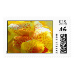 SOME SERIOUS YELLOW... POSTAGE STAMPS