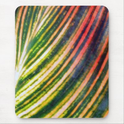 Some tropical leaf mouse pads by daas_1