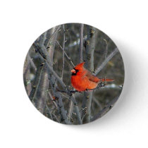 Some winter color pinback buttons