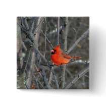 Some winter color pinback buttons