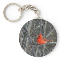 Some winter color key chains