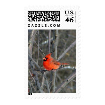Some winter color stamps