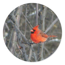 Some winter color round sticker