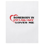 Somebody in Delaware Loves Me shirts Personalized Flyer