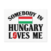 Somebody In Hungary Post Card