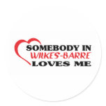 Somebody in   loves me t shirt stickers