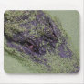 Somebody's watching you mouse pad