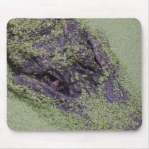 Somebody's watching you mousepads