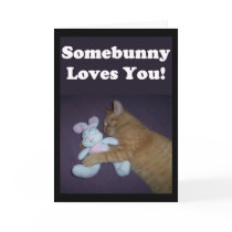 Somebunny Loves You! Valentine Greeting Cards