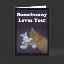 Somebunny Loves You! Valentine cards