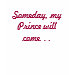 Ladies Petite T-Shirt