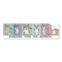 Somehare Over the Rainbow Bumper Sticker bumper stickers