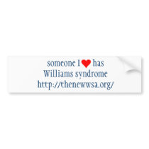 Someone I Love Has WS Bumper Stickers