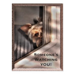 Someone is watching YOU Postcard