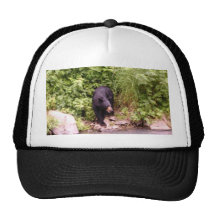 Someone Say Lunch? Hat