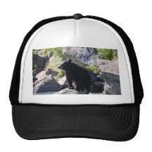 Someone Say Salmon? Hat