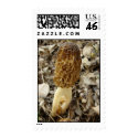 SOMEPLACE postage