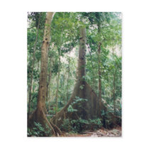 Somerset Buttresses postcards