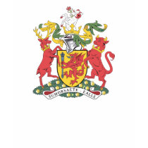 Somerset Coat of Arms t-shirts