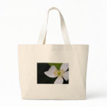 something good bag
