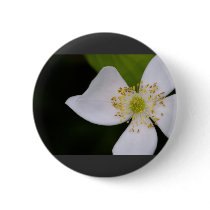 something good buttons by blacqbook something good buttons