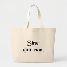 Something (or someone) indispensable. canvas bag