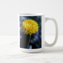 Something yellow mugs