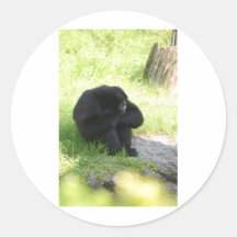 Sometimes Even Monkeys Have Bad Days Round Stickers
