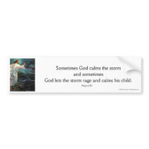 Sometimes God Calms the Storm Bumpersticker by radical_rose Sometimes God Calms the Storm Bumpersticker