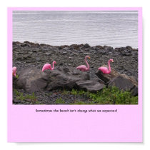 Sometimes the beach isn't alway... posters