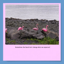 Sometimes the beach isn't alway... posters