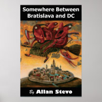 Somewhere Between Bratislava and DC Poster