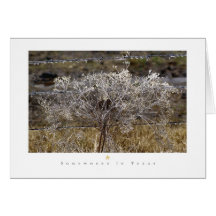 Somewhere in Texas Series Greeting Card