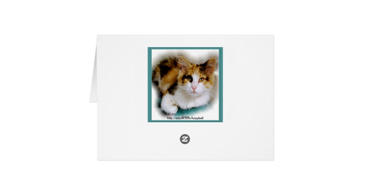 Son Happy Birthday Calico Cat Card Zazzle