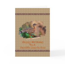 Son-in-law's Birthday Card with Sun Bittern Bird
