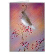 Song Bird cards